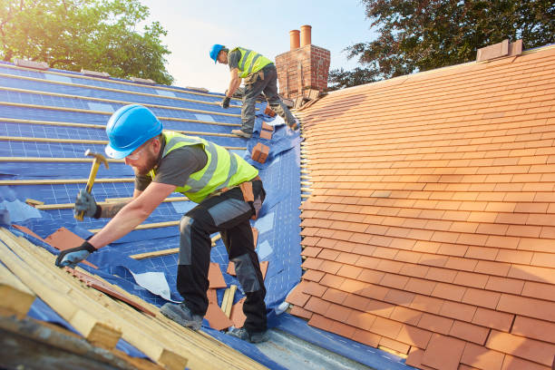 Best Solar Panel Roofing Installation  in Sweetwater, FL